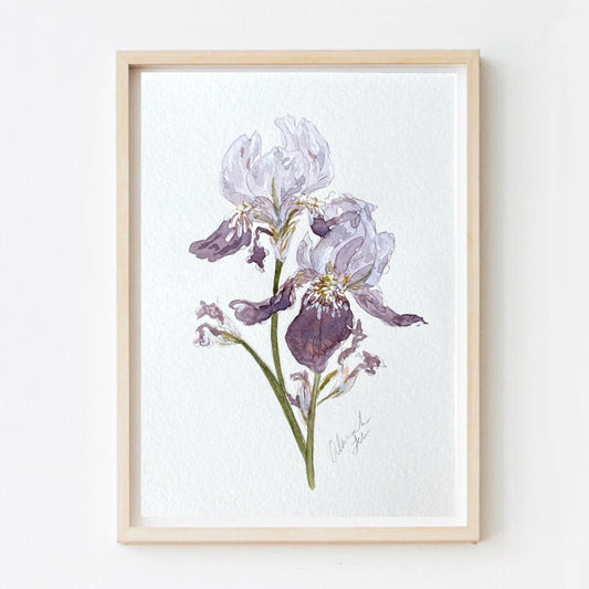 Iris Print #3