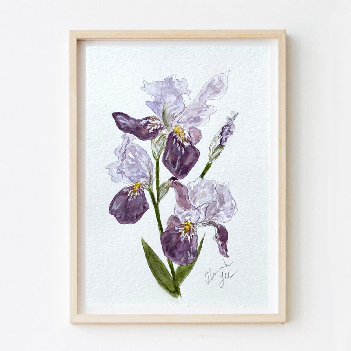 Iris Print #7