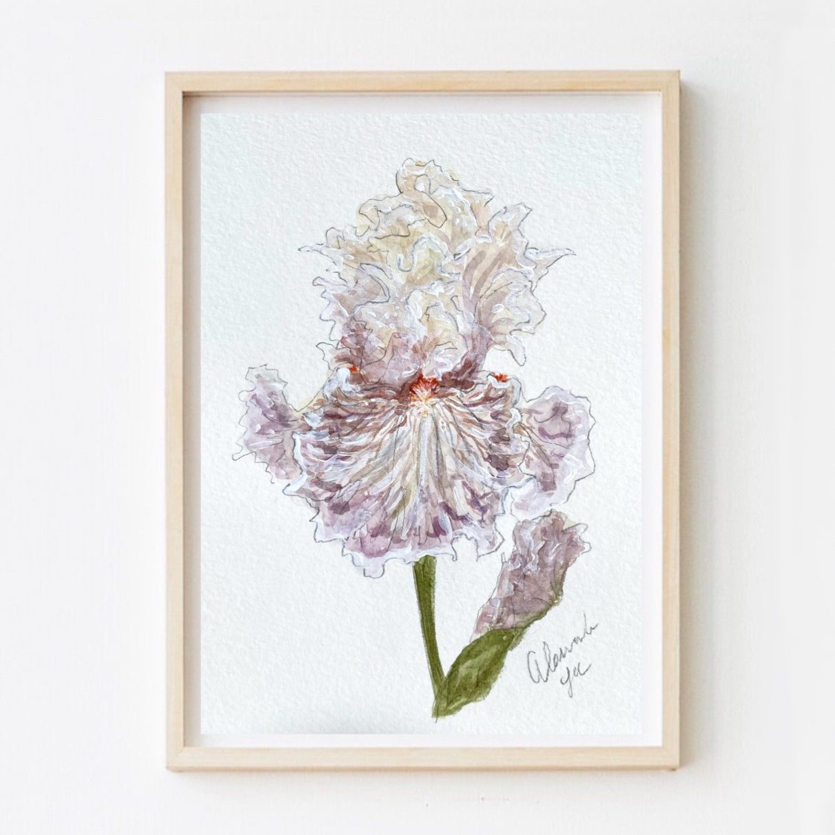 Iris Print #9