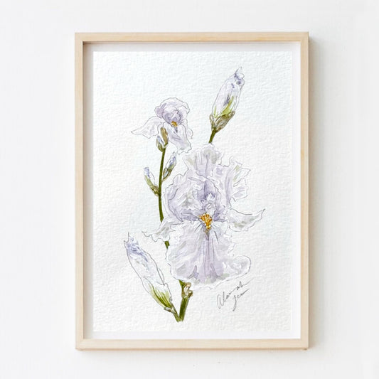 Iris Print #8