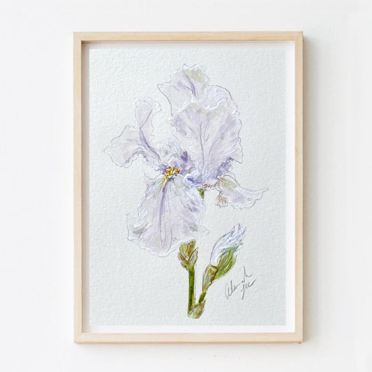 Iris Print #4