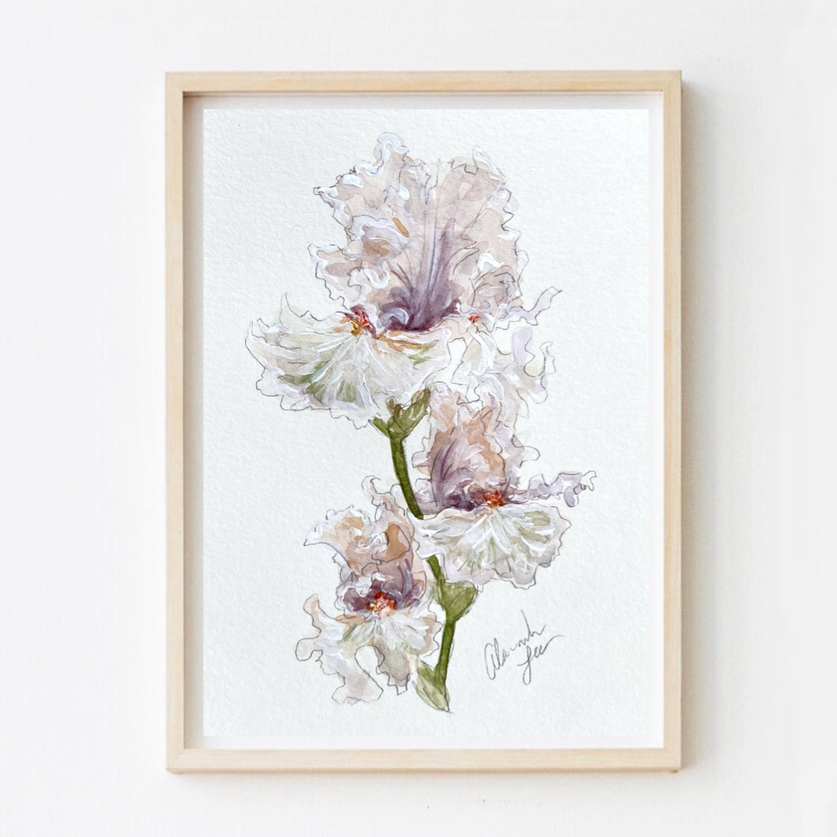 Iris Print #10