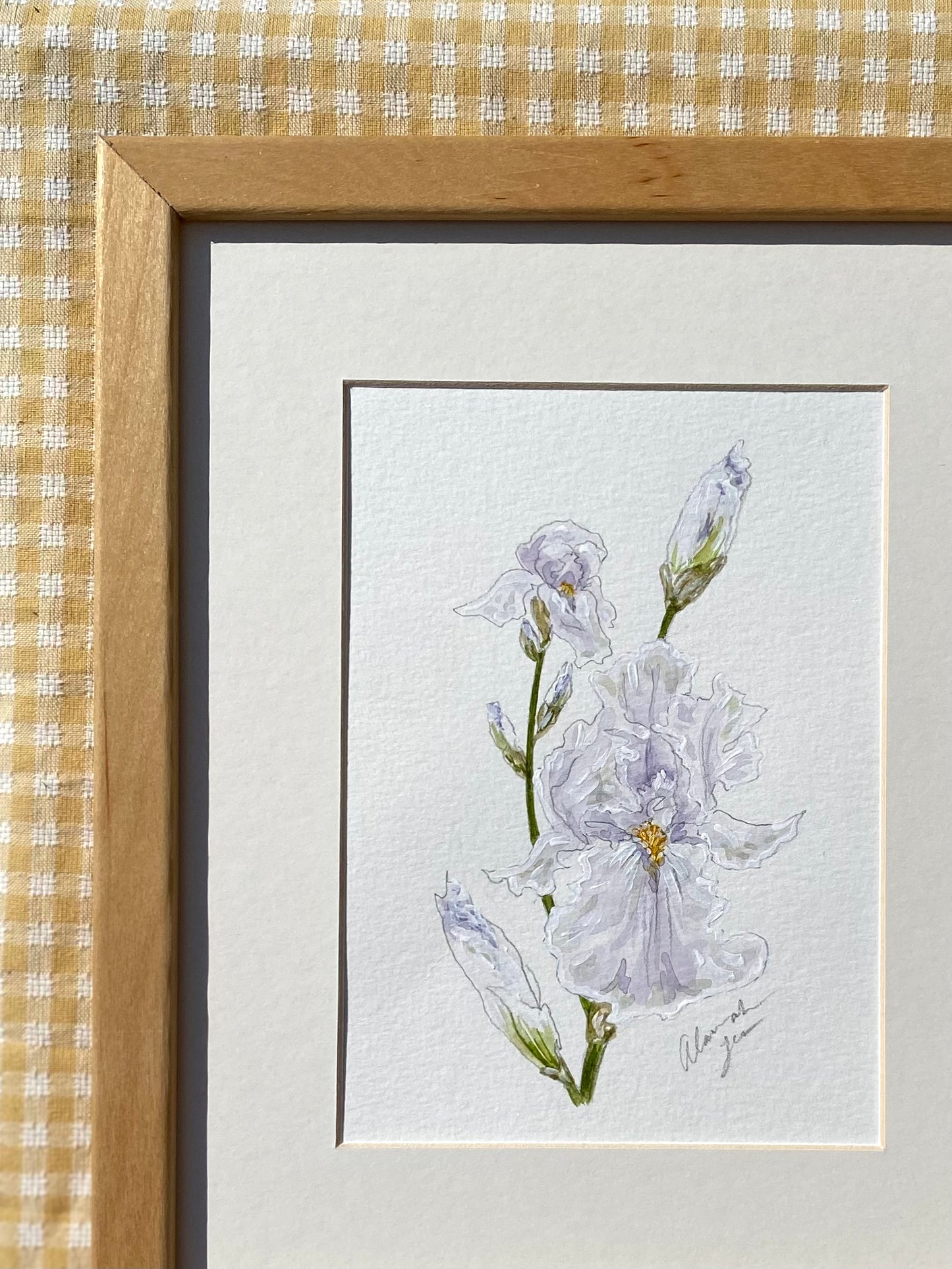 Iris Print #8