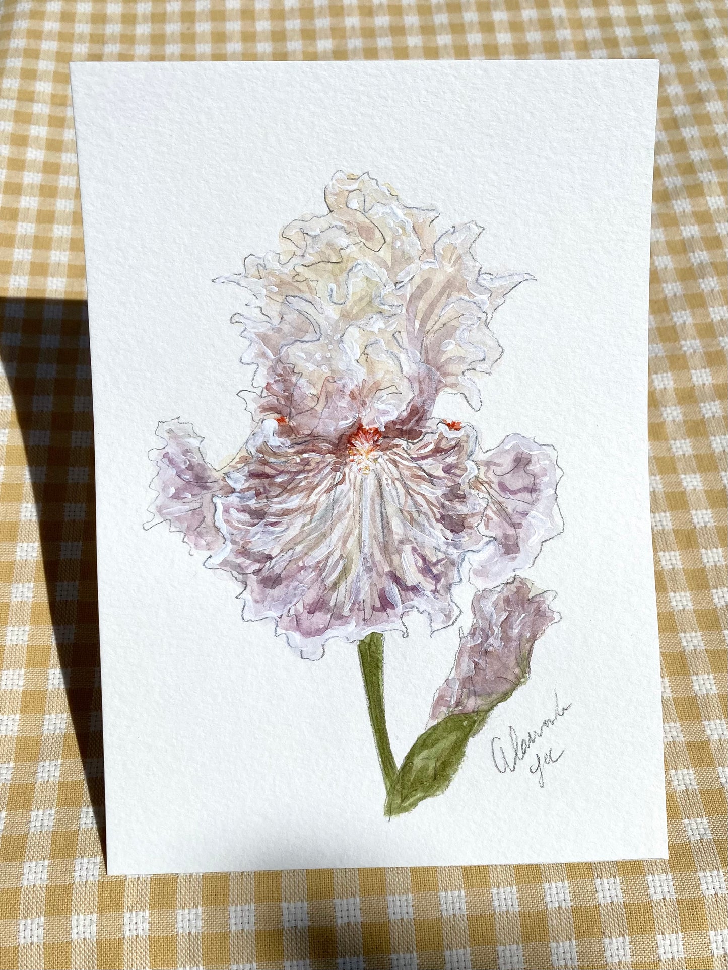 Iris Print #9